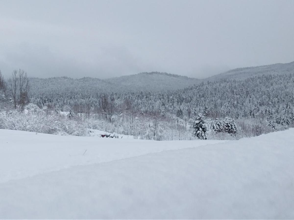 Ris Gorski Kotar Crni Lug Delnice