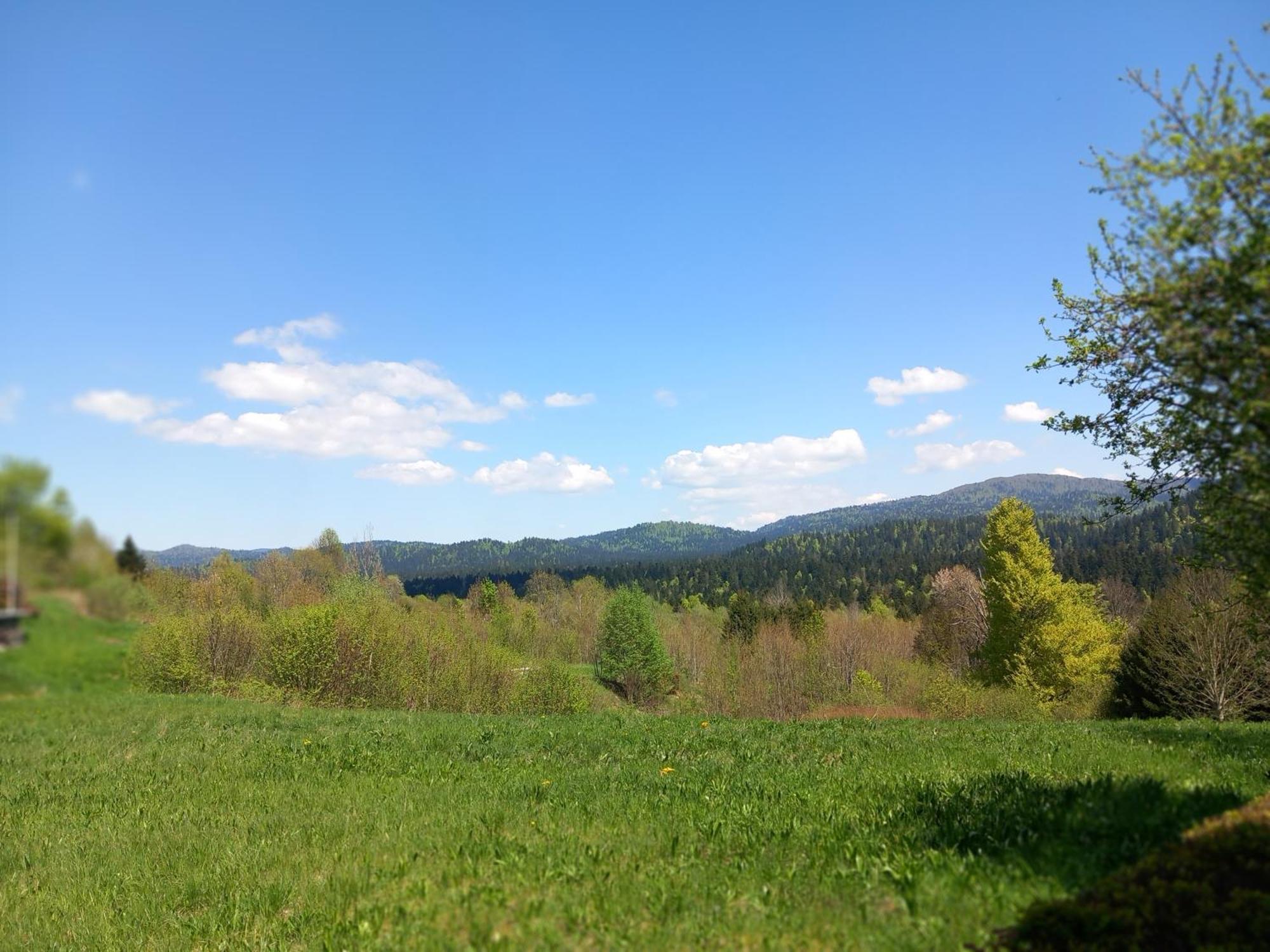 Ris Gorski Kotar Crni Lug Appartement *