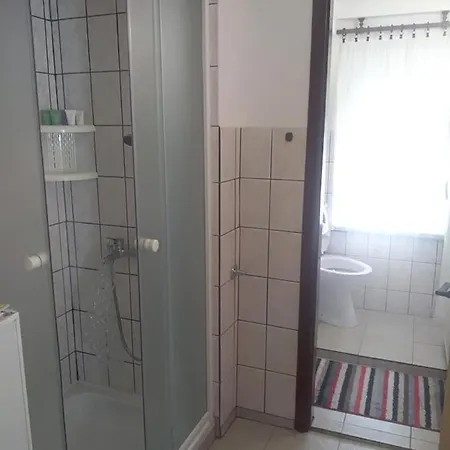Apartman Ris Gorski Kotar Crni Lug Delnice Exterior photo