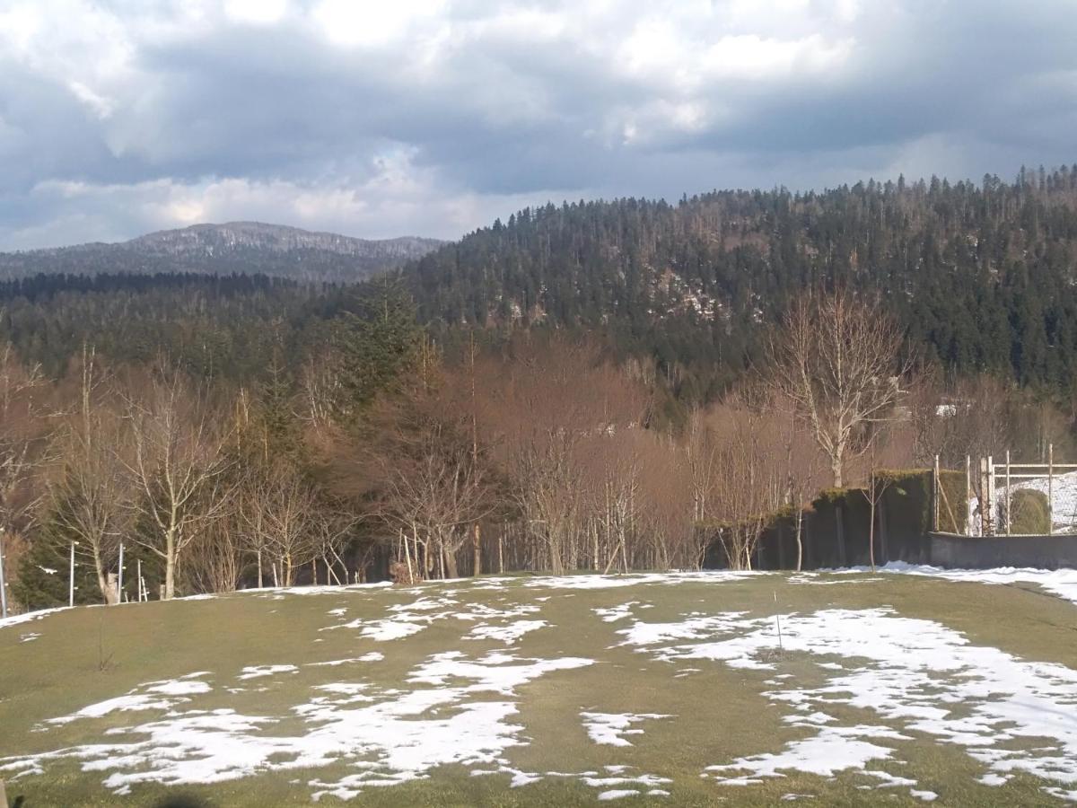 Ris Gorski Kotar Crni Lug Apartment