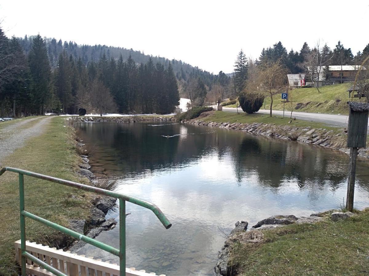 Apartment Ris Gorski Kotar Crni Lug *