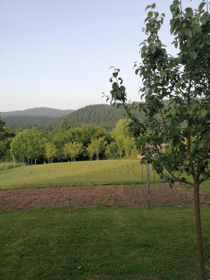 Ris Gorski Kotar Crni Lug Delnice