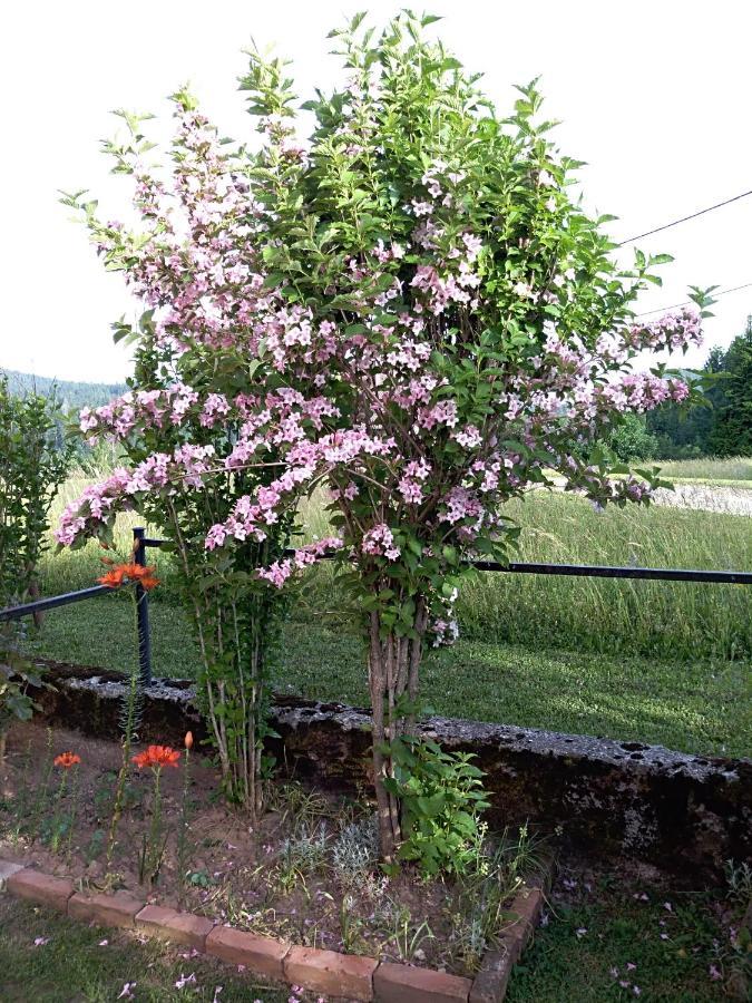 Ris Gorski Kotar Crni Lug Apartment