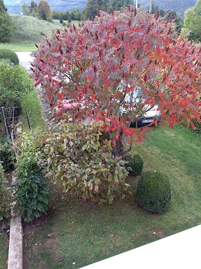 Apartment Ris Gorski Kotar Crni Lug
