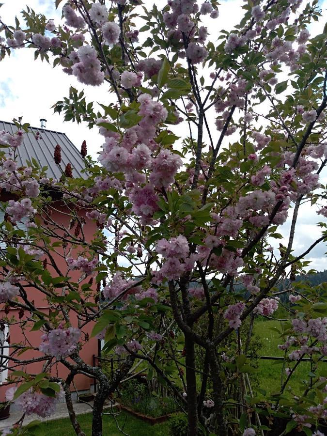 Ris Gorski Kotar Crni Lug *
